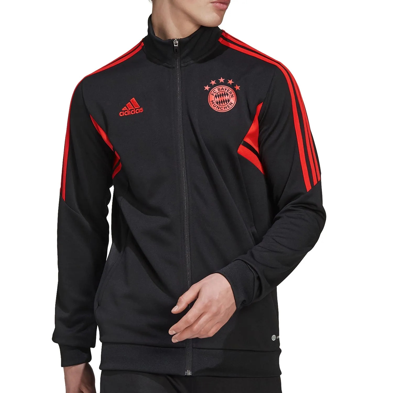 Chaqueta adidas Bayern staff