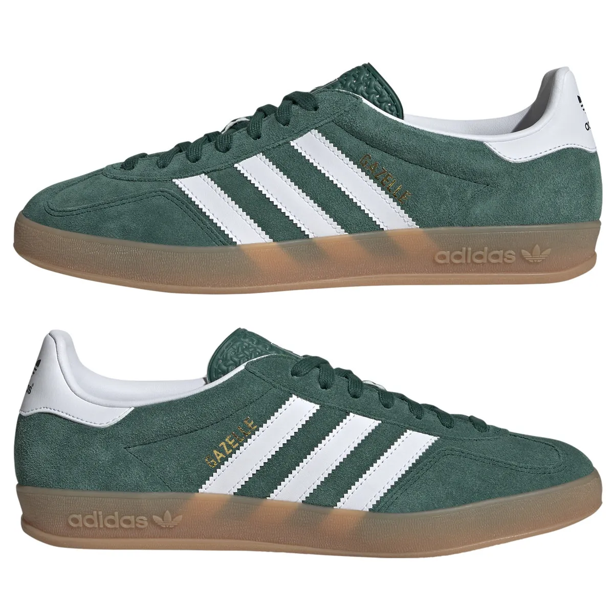 Gazelle Indoor