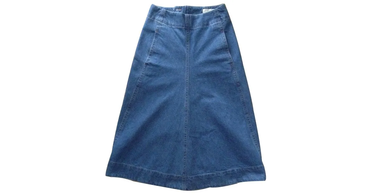 Lemaire Falda Azul 