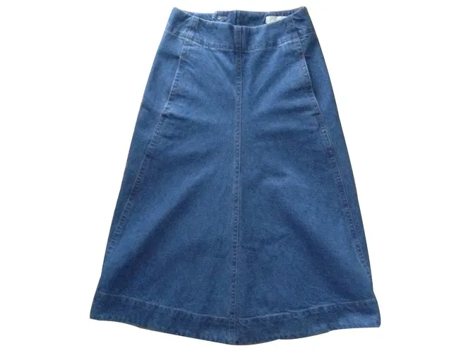 Lemaire Falda Azul 