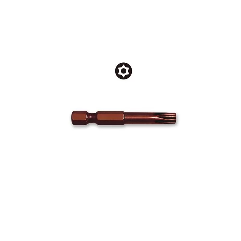PUNTA TORX C/GUIA T40 1/4 X 50MM 444733 GESTAR